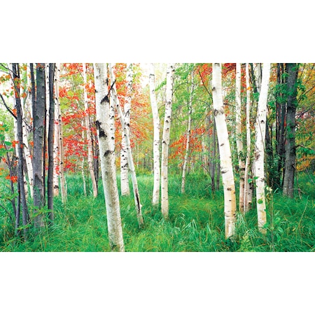 Biggies Scenes Window Well Scenes-Woods, 120 in wide x 60 in high BG-WW-WDS-120